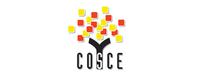 Comunicado COSCE sobre la creación de un nuevo Ministerio de Universidades