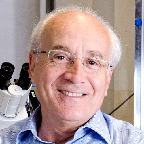 Carlos Belmonte Martínez 