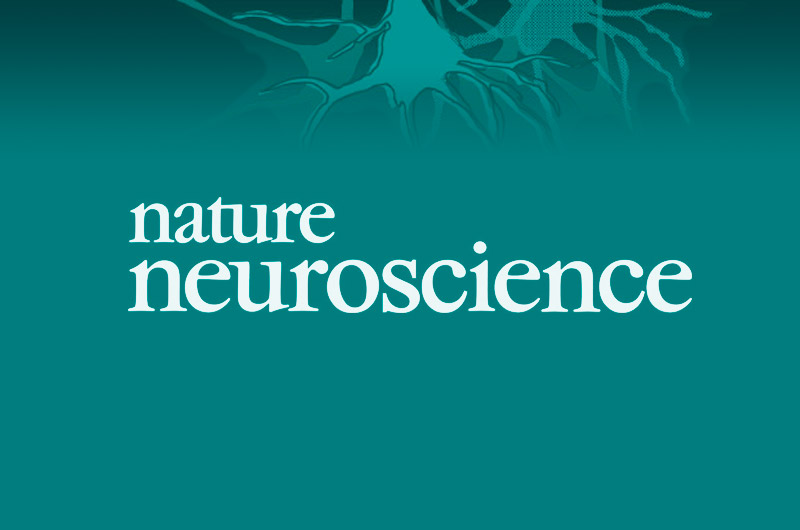 Nature Neuroscience reconoce sesgo en la elección de «expertos científicos»