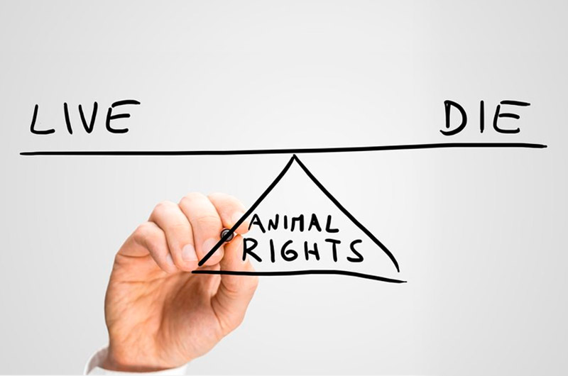 ¿Qué haría antes estos dilemas éticos?