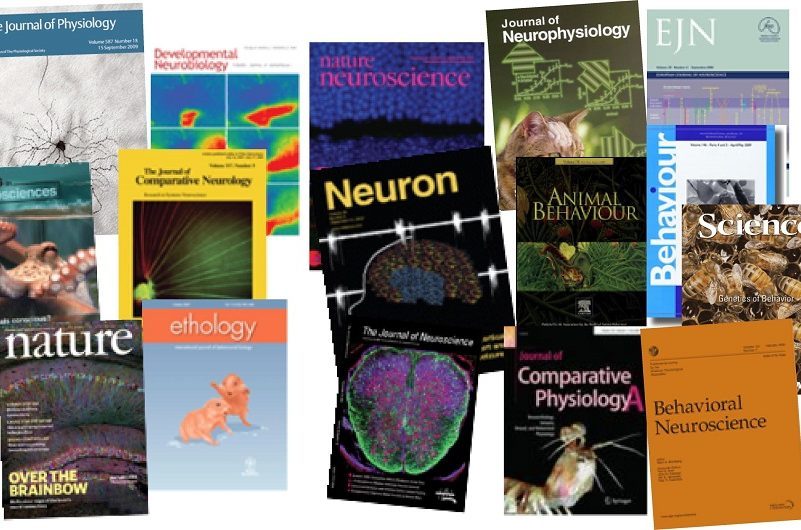 Envía tus portadas en revistas científicas