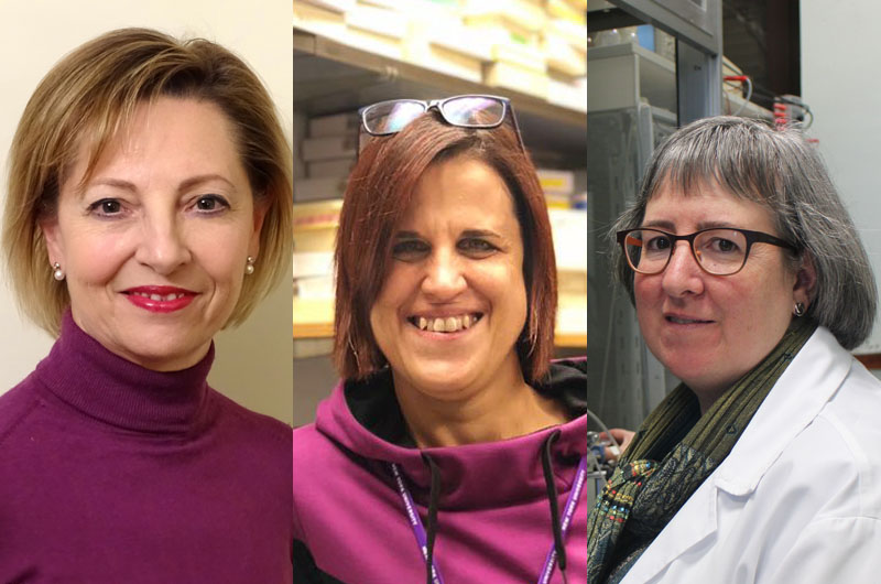 Conoce a nuestras científicas