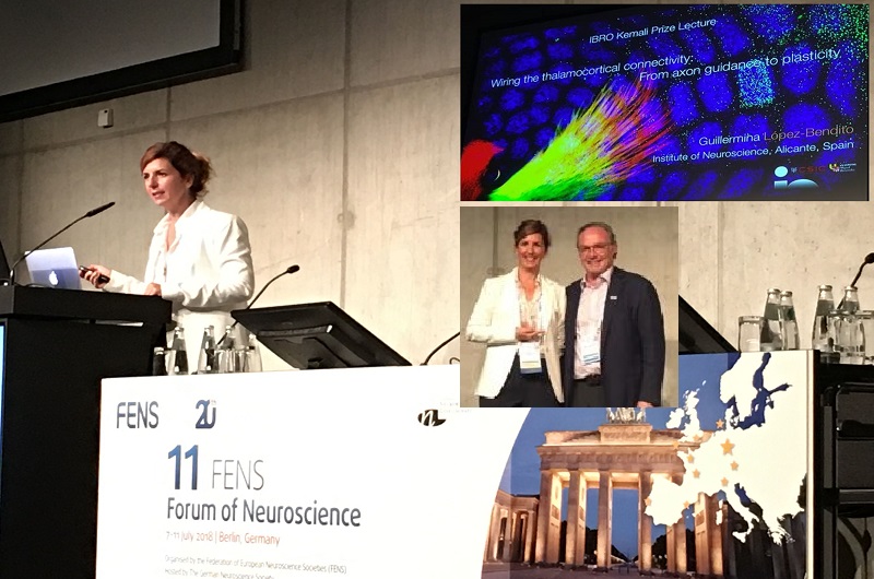 Guillermina López-Bendito recibe el 11th Premio IBRO Kemali durante la FENS