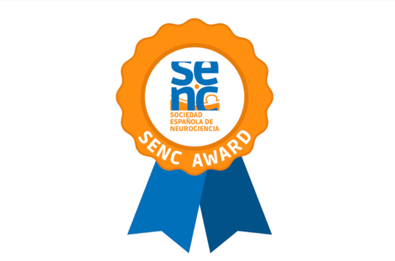 Resolución Becas SENC para asistir a SFN 2019