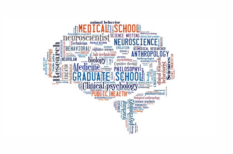 Propuesta de inclusión de una nueva clase de miembro en los estatutos de la SENC