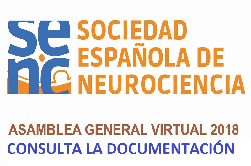 Ya puedes consultar la documentación relativa a la Asamblea General Virtual 2018