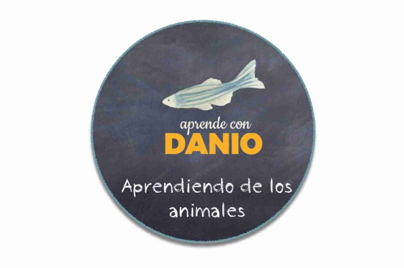 Solicita el vídeo gratuito “Aprendiendo de los animales”