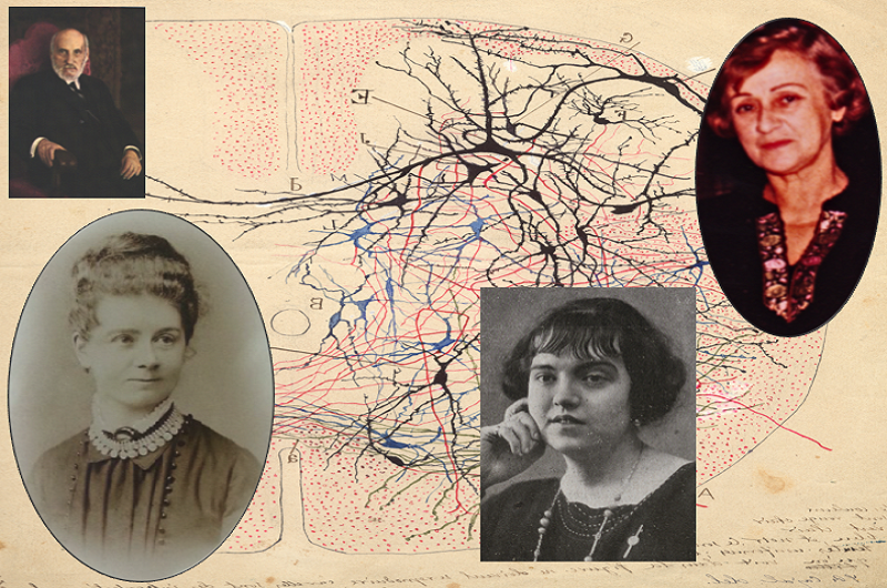 Las neurocientíficas que investigaron con Cajal salen del olvido
