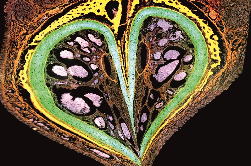 Descubre los ganadores del concurso NeuroART 2019!