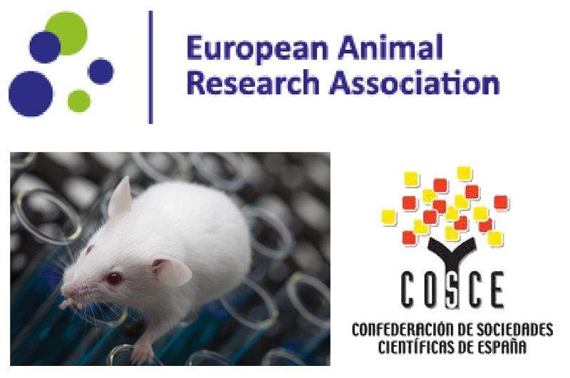 Progreso en el acuerdo de transparencia en investigación animal