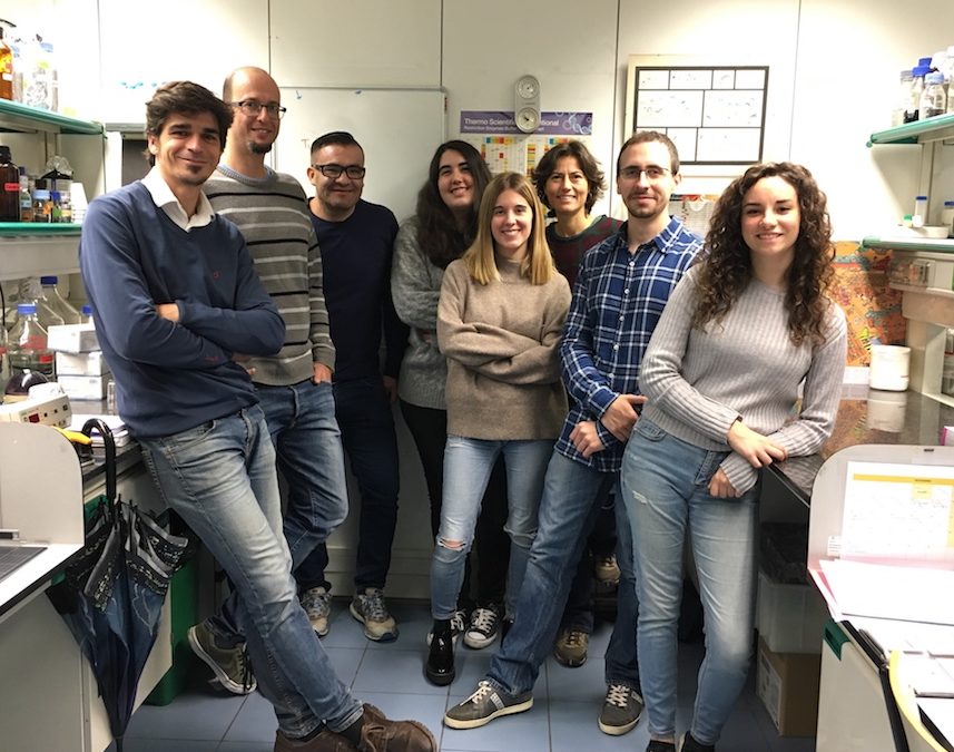 Micromecenaje para la investigación de enfermedades neuropediátricas raras