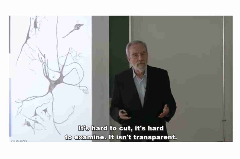 Living History – SENC: Conference of Dr. Constantino Sotelo subtitled in English