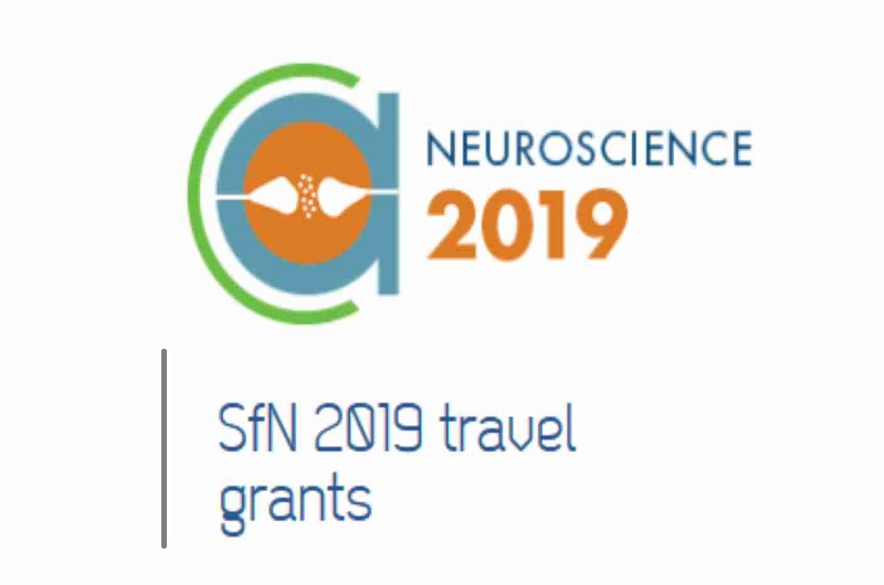 FENS is offering 10 travel grants of  € 2000  each to attend SfN-2019 in Chicago