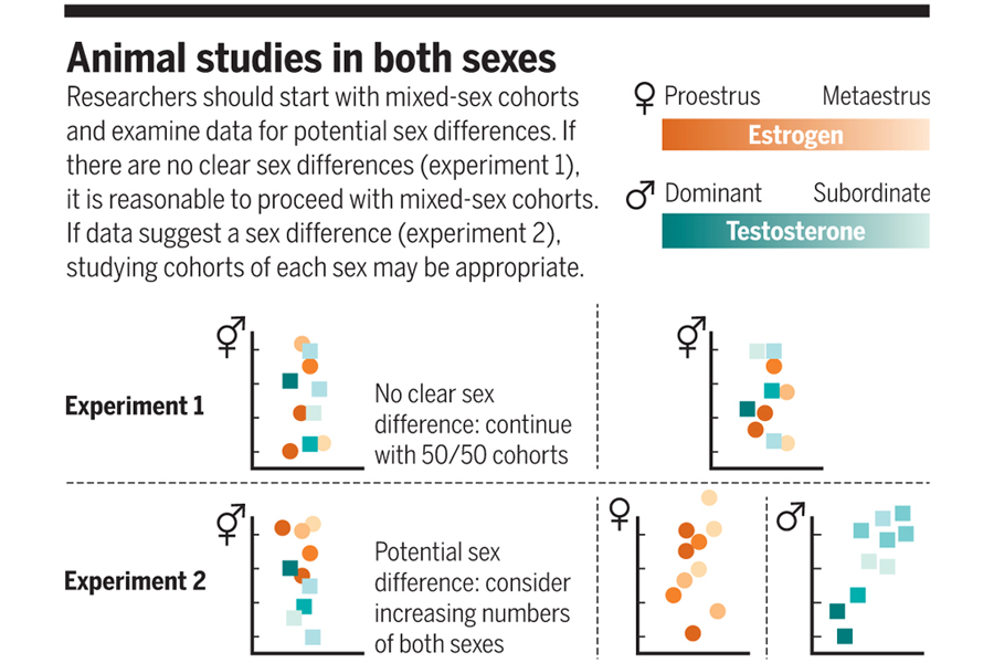 Are hormones a “female problem” for animal research?