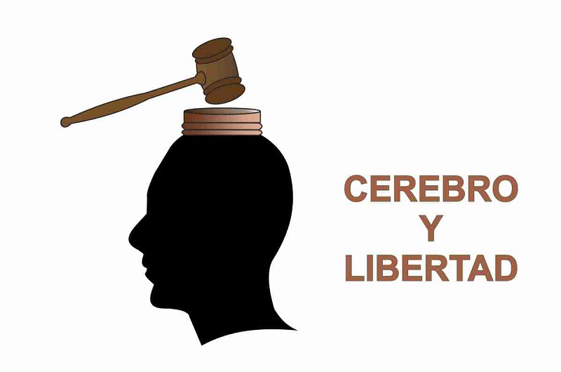 Un café conciencia: Mesa redonda sobre «Cerebro y Libertad»