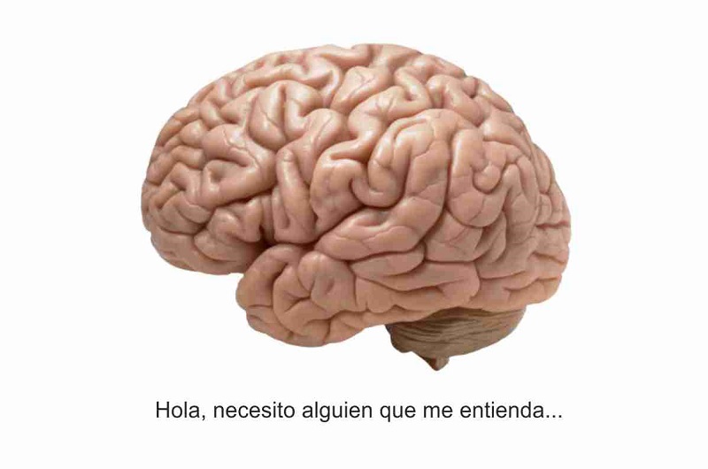 Hablando de lo que entiende: el cerebro en vivo y en directo