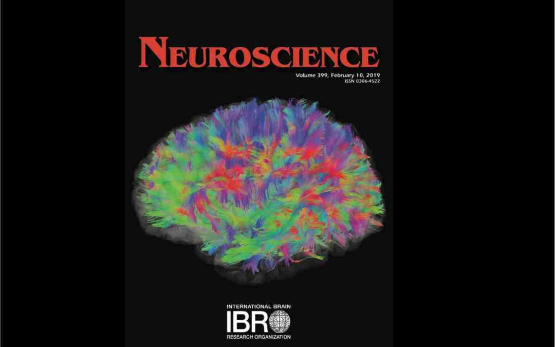 How an international journal handles your paper