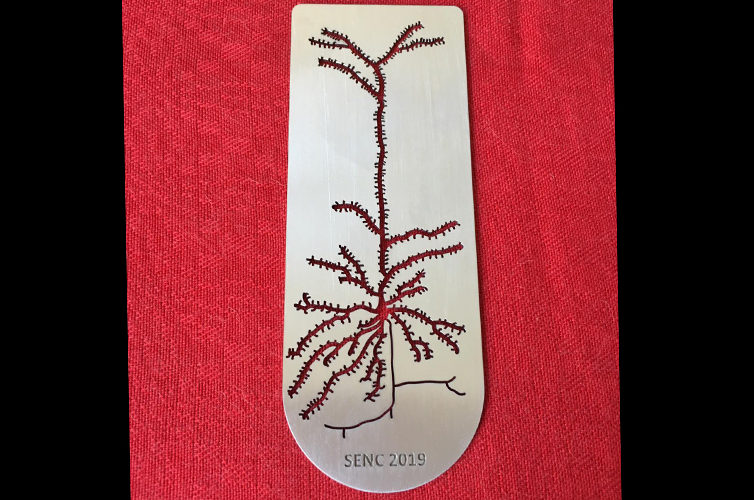 Puntos de libro SENC