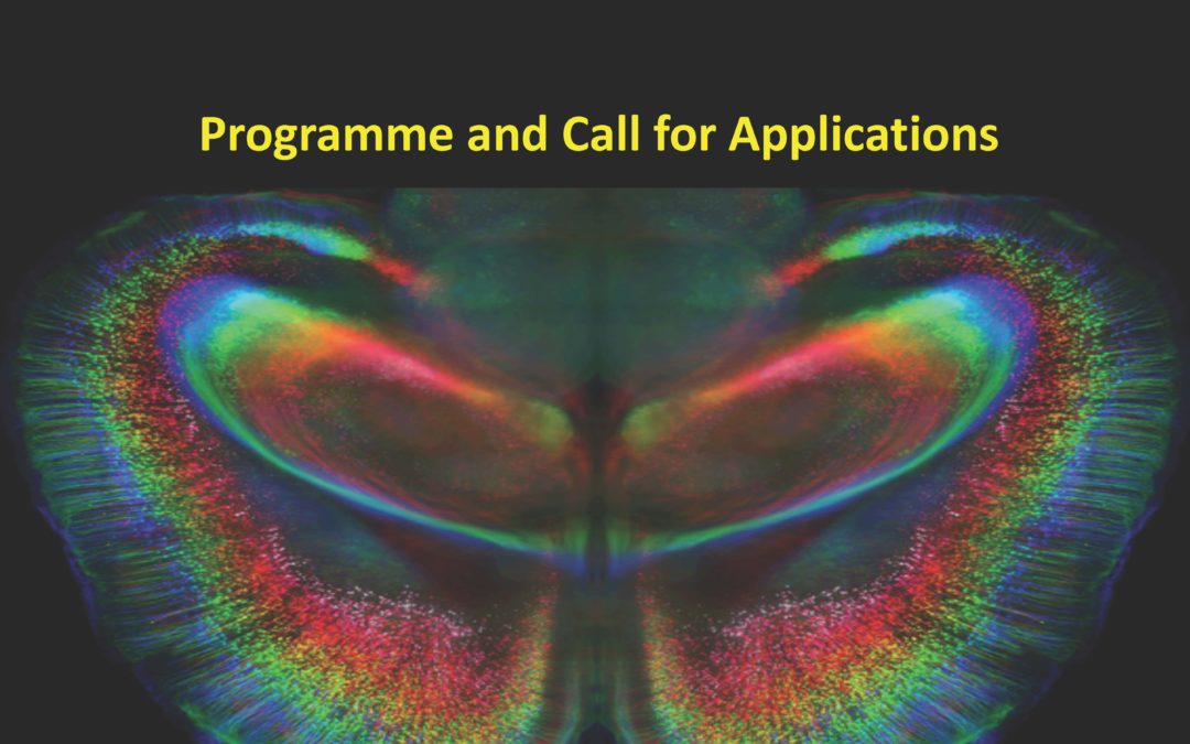 Cajal Conference has been postponed to 2021