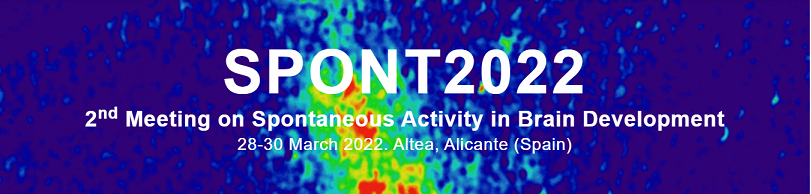 2nd Meeting on Spontaneous Activity in Brain Development
