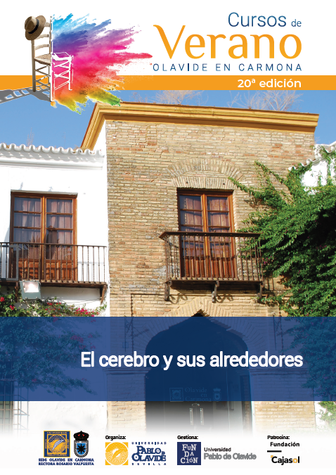 El cerebro y sus alrededores. Cursos de Verano. Olavide en Carmona
