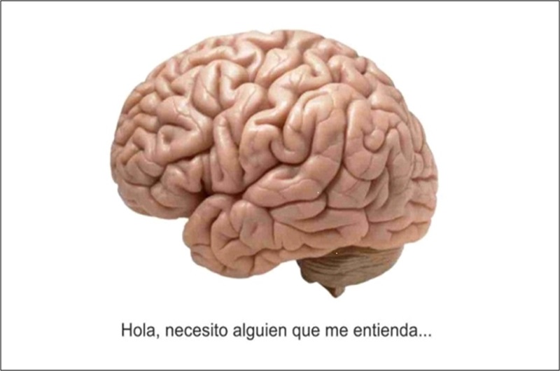 XVIII Edition of the National Neuroscience Course, 9-13 June 2025 (Carmona)