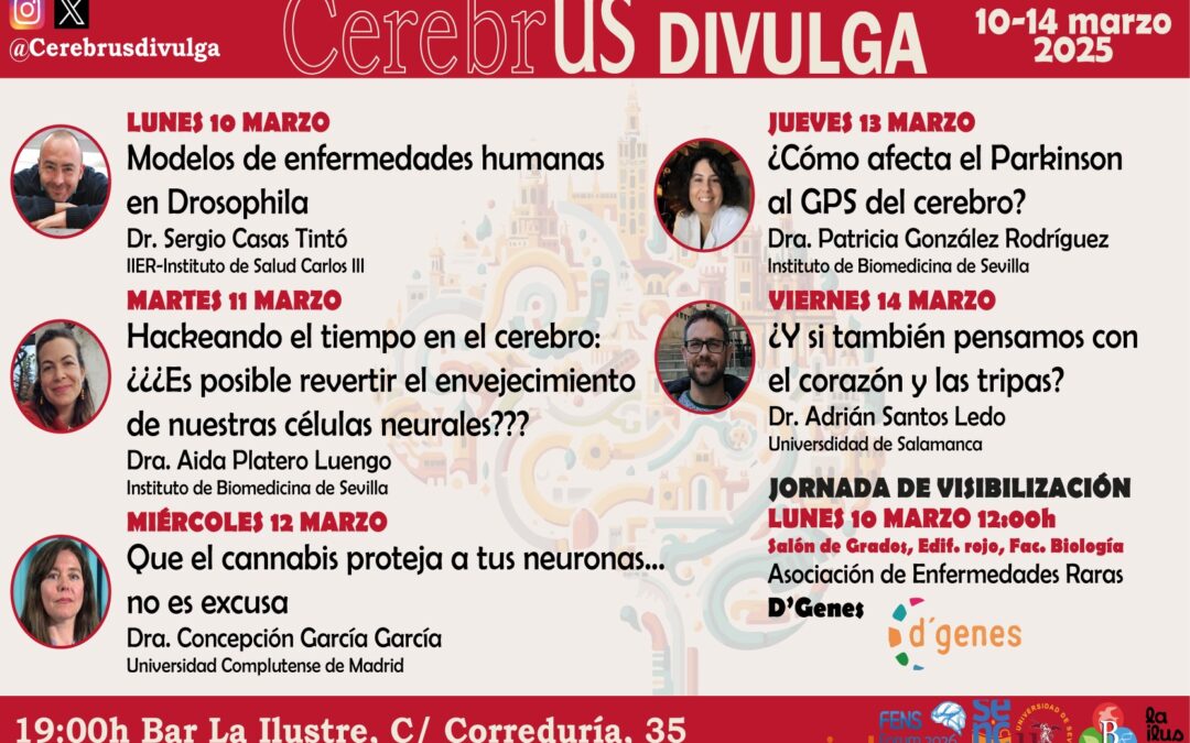 CerebrUS divulga: Brain Week 2025