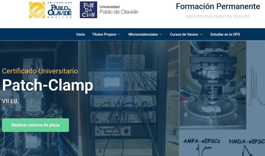 Patch-Clamp Course VII Edition