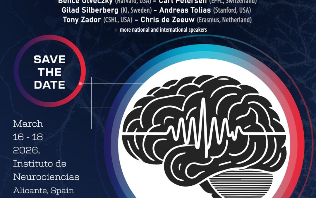 Systems-IN-Action meeting in Alicante